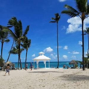 Meet your Posher, Lilian